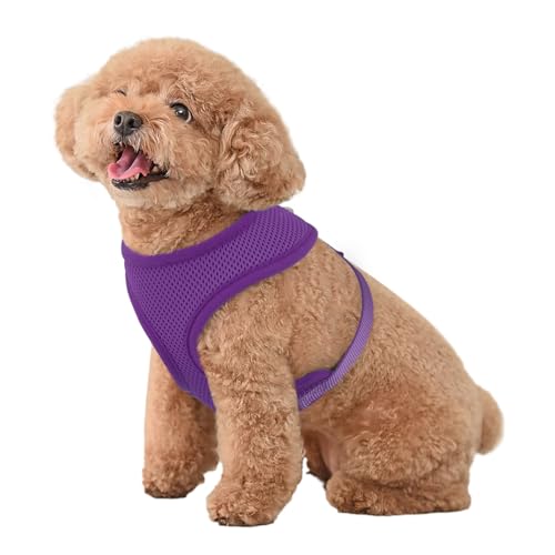 MoNiBloom Dog Harness for Small Sized Dog, Soft Puppy Padded Vest for Walking, Running, Training - Purple, S - color: Purple, size: S