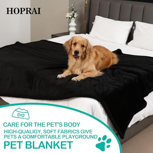 Waterproof Pet Blanket for Medium Large Dogs Washable Fluffy Thick Jacquard Shag Fleece Warm Sherpa Pet Blanket Cats Puppy Couch Protection (Black XXL85*85inches) - color: Black, size: 85*85