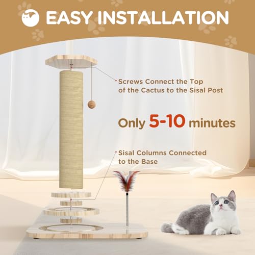 Cat Scratching Post, Small Scratching Post with Vertical Scratcher and Tracking Interactive Ball for Kittens