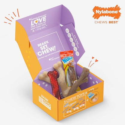 Nylabone Dog Gift Box, Includes 3 Strong Chew Toys and 1 Natural Treat, Gifts for Dogs, Small - Up to 25 lbs, 4 Pack - size: Small (4 Count)