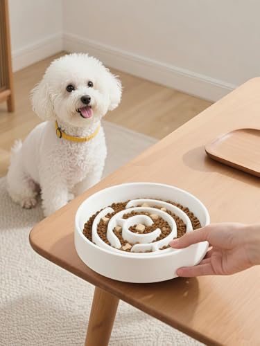 Ceramic Slow Feeder Dog Bowl,1.5 Cups Pet Slow Feeder for Small and Medium Breed,Puzzle Dog Food Dish,Anti-Gulping,Stop Bloat,Preventing Choking(White) - color: White