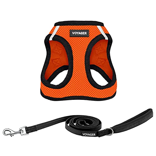 Best Pet Supplies Voyager Step-in Air All Weather Mesh Harness and Reflective Dog 5ft Leash Combo with Neoprene Handle, for Small, Medium and Large Breed Puppies - Set (Orange/Black Trim), XXX-Small - color: Harness Leash Bundle (Orange/Black Trim), size: