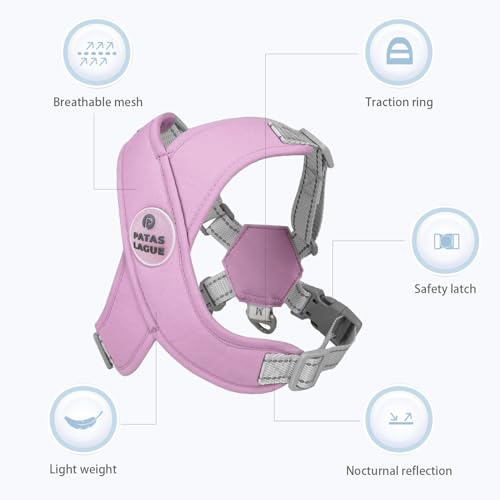 Dog Harness with Leash Set Adjustable Soft Padded Step-in Dog Vest No Choke No Pull Reflective for Small Pets with Poop Bags and Dispenser, Solid and No-chew, Purple XS - color: Purple, size: XS (Neck 16-19.1'' Chest 18.8-21.5'')