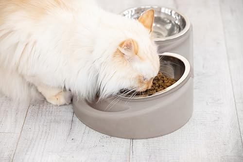 Ubbi Pet Feeding Bowls Set with Non-Slip Mat, Elevated & Flat Stainless Steel Dog or Cat Bowls, Ergonomic 15° Angled Feeder, Dishwasher Safe, Taupe - color: Taupe