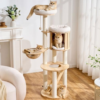 797Audio Wood Modern Cat Tree, 61.5" Tall Cat Tower with Sisal Scratching Posts, Cat Condo, Capsule and Ladder, Solid Wooden Aesthetic Multi-Level Cat Climbing Tree for Large Adult Indoor Cats - color: 62 Inch