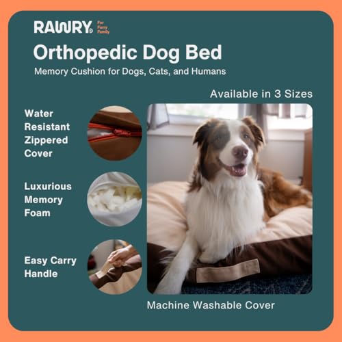 Rawry Orthopedic Dog Bed | Memory Foam Dog Bed with Handle | Water-Resistant, Machine Washable Cover | Floor Cushion for Cats, Dogs & People - Tan/Brown (Medium - 30" x 24") - size: Medium