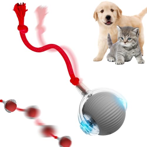 Interactive Cat Toy, 2025 New Cat Toy for Indoor Cats, Intelligent Rolling Ball Toys, Kitten Toys for Bored Indoor Cats/Dogs (Grey) - color: Grey