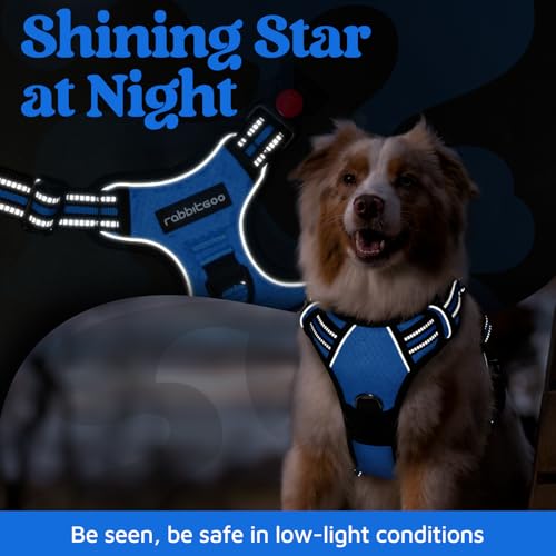 rabbitgoo Dog Harness Small Sized, No Pull Dog Vest with 3 Buckles, Adjustable Soft Padded Pet Harness with Easy Control Handle and Reflective Strips, Blue, S - color: Blue, size: Small