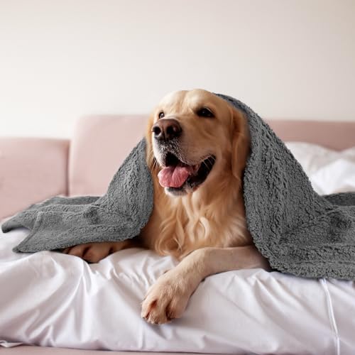 furrybaby Dog Blanket Soft Dog Blankets for Large Dogs Puppy Essentials Washable Sherpa Fleece Cat Blanket 59x78 Inches for Bed Furniture Couch Sofa (Jumbo Grey) - color: Grey Blanket, size: 59x78in (pack of 1)