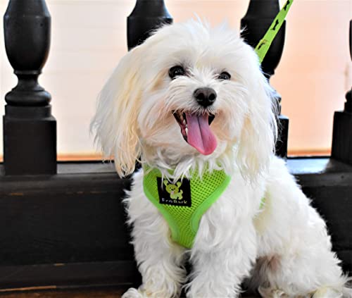 EcoBark Dog Harness - Eco-Friendly Max Comfort Harnesses - Luxurious Soft Mesh Halter - Over the Head Harness Vest- No Pull and No Choke for Small, Toy Breed, and Teacup Dogs (XS, Green) - color: Green