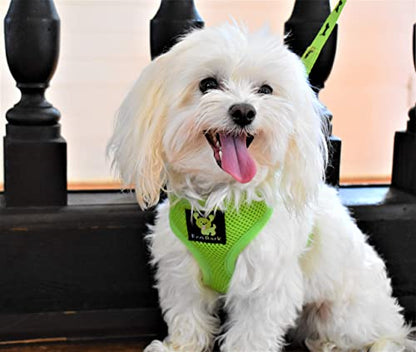 EcoBark Dog Harness - Eco-Friendly Max Comfort Harnesses - Luxurious Soft Mesh Halter - Over the Head Harness Vest- No Pull and No Choke for Small, Toy Breed, and Teacup Dogs (XS, Green) - color: Green
