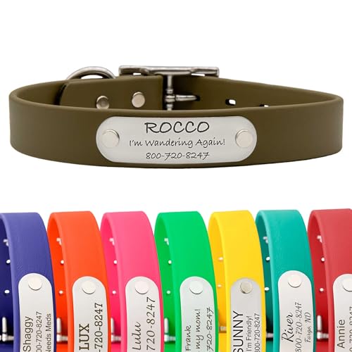 dogIDs Personalized Dog Collar – Custom Waterproof Soft-Grip Biothane with Laser-Engraved Nameplate, Durable & Odor-Resistant, USA Made | Sage, 1 in x 16 in (Fits Necks Size 14-18 in) - color: Sage, size: 1 in x 16 in (Fits Necks Size 14-18 in)