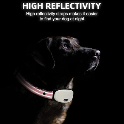 Collar Replacement Strap, Reflective Replacement Nylon Collar Strap Dog GPS Training Bark Receiver Collars, Durable Adjustable E Collar Straps for Small Medium Large Dogs, Pink - color: Pink