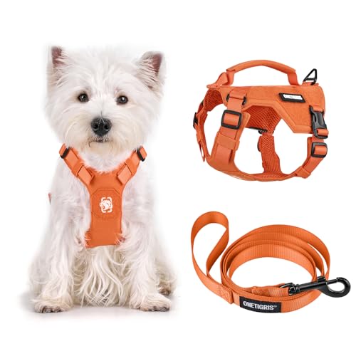 Onetigris Small Harness Dog Harness and Leash Set,MINI Trooper No Pull Dog Vest Fully Adjustable Harness for Puppy Dog and Cats, Dog Vest Harness for XXXS XXS XS Pets (Orange, XXXS) - color: Orange, size: XXXS