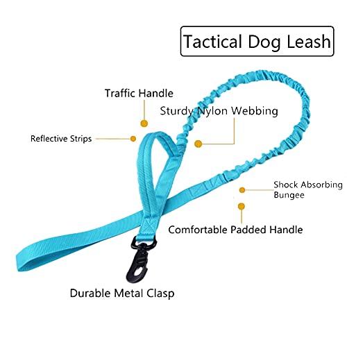 Tactical Dog Collar and Leash Set Adjustable Military Nylon Dog Collar with Control Handle and Heavy Duty Metal Buckle for Large Dogs（Blue S - color: Blue SET(collar+leash), size: Small (Pack of 1)