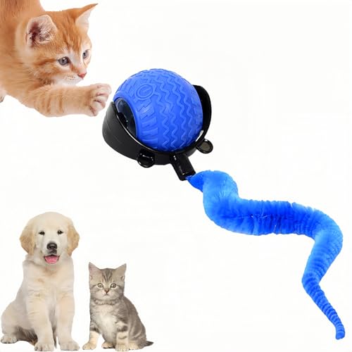GoldenLife Interactive Cat Toys for Indoor Cats, Hamster Ball with Speedy Tail 2.0, Safe Silicone，3 Modes (Speed/Light) & Type-C Charging, Durable Moving Dog Toy for Indoor Cats/Dogs (Blue) - color: Blue