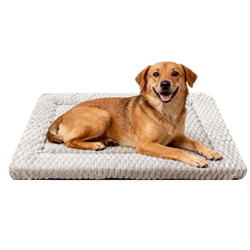 Dog Bed Mat,Reversible & Ultra Soft Kennel Pad-Machine Washable Pet Bed for Dogs & Cats-All-Weather Crate Liner for Crates,Carriers & Travel (Light Gray, 35" L x 23" W x 1.5" Th) - color: Light Gray, size: 35.0"L x 23.0"W x 1.5"Th