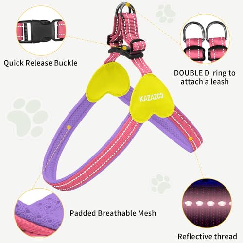 Kazazoo No Pull Small Dog Harness and Leash Set, Adjustable Puppy Soft Vest Harness with Breathable Mesh Padded, Reflective Lightweight Harness with Buckle for Extra Small Medium Dogs, Pink S - color: Purple&Pink, size: S