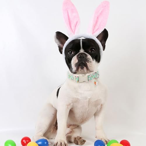 ARING PET Easter Dog Collar-Cute Easter Eggs Dog Collar, Adjustable Rabbit&Carrot Print Pet Collars Puppy Collar with Quick Release Buckle for Girl&Boy Dogs - color: Easter-Green Rabbit, size: X-Small