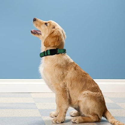 Reflective Dog Collar, Adjustable Soft Neoprene Padded Nylon Pet Collars with Buckle for Puppy and Small Dogs, Cats, Dark Green,XS - color: Dark Green, size: X-Small