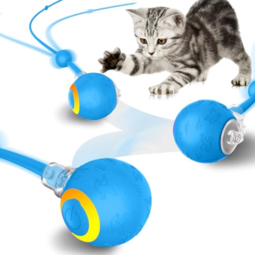 Smart Interactive Cat Dog Toys, Automatic Pet Toys for Bored Indoor Cats and Dogs, Motion Activated, USB Rechargeable, Christmas Pet Birthday Gifts (Blue) - color: Blue