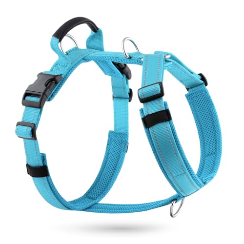 No Pull Dog Harness with Handle, Soft Mesh Padded Adjustable for Small Medium Large Dogs | Reflective Easy Walk Harness with Front Clip for Training, Running & Outdoor (Cyan, XS) - color: Cyan, size: XS