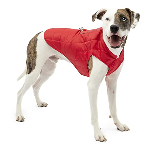 Kurgo Loft Dog Jacket - Reversible Cozy Coat for Outdoor Adventures - Water Resistant - Athletic Fit - Machine Washable Fabric - Reflective Dog Gear - Small - Chili Red - color: Chili Red/Charcoal, size: Small