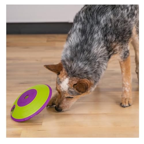 Interactive Dog and Cat Games Treat Hiding Challenge Mental Stimulation with Rewards (7.5 Inch Treat Maze Game) - size: 7.5 Inch Treat Maze Game