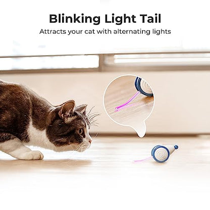 Cheerble Interactive Cat Toys for Indoor Cats, Automatic Cat Toy with LED Lights, Wicked Mouse Toys, Kitten Toys, Pet Toys, Smart Electric Cat Toy, USB Rechargeable, Auto On/Off… (Blue) - color: Blue