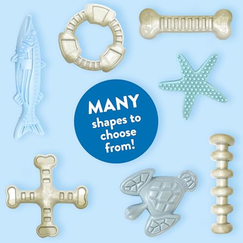 Spunky pup Clean Earth Heavy Duty Dog Chew Toys for Aggressive Chewers - Recycled, Made in USA, Barracuda - style: Barracuda