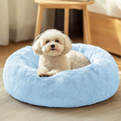 JOLLYVOGUE Dog & Cat Bed, Calming Anti-Anxiety Pet Bed for Small Dogs, Fluffy Donut Cushion for Small and Medium Pets (20") - color: Light Blue, size: 20"