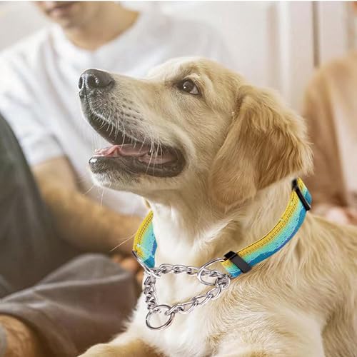 Martingale Dog Collars with Stainless Steel Chain, Reflective No Pull Walking Training Collar with Quick Release Buckle, Adjustable Slip Chain Nylon Dog Collars for Small Medium Large Dogs - color: Yellow and blue, size: Small