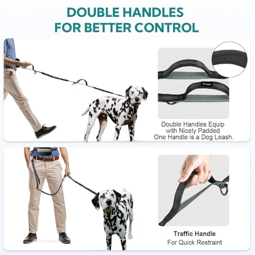 Hands Free Dog Leash with Pouch, Dual Attachment for Two Dogs, Retractable Bungee with Double Padded Handles, Waist-Mounted for Running,Walking, Jogging Friendly Dog Accessories (Black/Mint Green) - color: Black/Blue