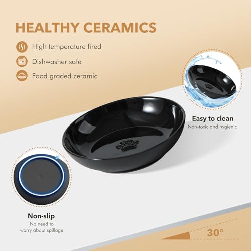 Havniva Cat Bowls Elevated 5.6” Ceramic Cat Bowl with Stand Whisker Friendly Cat Dishes, Cat Food & Water Bowl Set with Two Heights Options, Raised Cat Food Plates for Kitten Anti-Slip Pet Bowls - color: 1 Bowl+1 Shallow Dish+Stand- Black