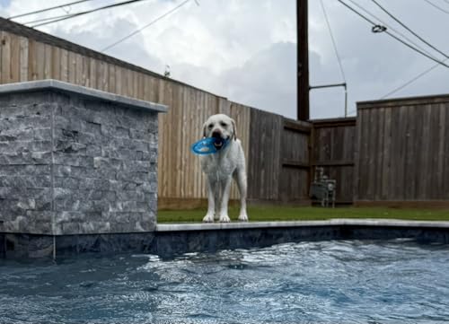 Rudy’s Favorite TPR Flying Disc w/Center Ball - Dog Frisbee - Floats, Flies Far for Fetch Freaks, Pool Splashers & Backyard Maniacs- Dog Toys for Aggressive chewers, chew Toys & Pool Toys