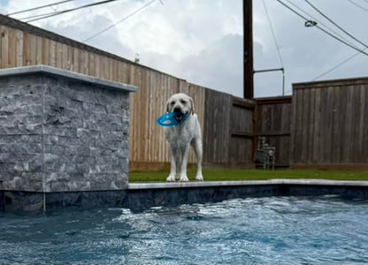 Rudy’s Favorite TPR Flying Disc w/Center Ball - Dog Frisbee - Floats, Flies Far for Fetch Freaks, Pool Splashers & Backyard Maniacs- Dog Toys for Aggressive chewers, chew Toys & Pool Toys