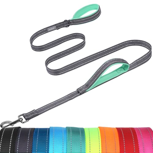 VIVAGLORY Dog Leash Twingrip Double Handle Dog Leash with Traffic Handle Control & 2 Loop for Walking & Training, Reflective Heavy Duty for Puppy Pet Collar, 5ft x 1in, Grey - color: Grey, size: 5 ft. x 1 in.