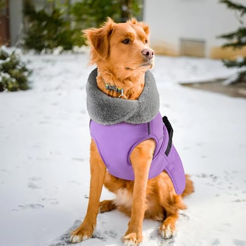 Dog Coat Large, Windproof Dog Jacket with Warm Fleece Lining, Thickened Collar Dogs Winter Coat, Adjustable Reflective Pet Coats for Cold Weather (Purple, XX-Large) - color: Purple, size: XX-Large