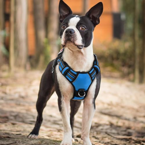 rabbitgoo Dog Harness Small Sized, No Pull Dog Vest with 3 Buckles, Adjustable Soft Padded Pet Harness with Easy Control Handle and Reflective Strips, Blue, S - color: Blue, size: Small