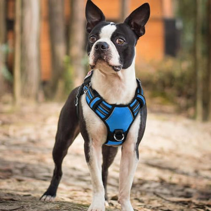 rabbitgoo Dog Harness Small Sized, No Pull Dog Vest with 3 Buckles, Adjustable Soft Padded Pet Harness with Easy Control Handle and Reflective Strips, Blue, S - color: Blue, size: Small
