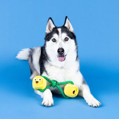 Fringe Studio Plush Dog Toy with Rope, Game, Set, Match, Pet Shop Collection (314239) - color: Game, Set, Match