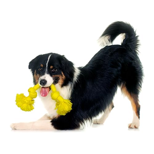 Playology Dog Toys | Dri-Tech Rope Toy Tug of War Rope for Aggressive Chewers | Medium Chicken Scented Toy - Easy to Clean and Made from Non Toxic Materials - size: Medium, style: Chicken