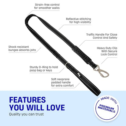 Dog Friendly Co. Bungee Dog Leash | Strain Free & Shock Resistant for Control | Neoprene Padded Handle, Heavy-Duty Carabiner Clip, and D-Ring | Black, Size Small - color: Black, size: Small