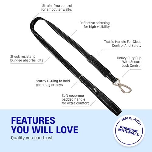 Dog Friendly Co. Bungee Dog Leash | Strain Free & Shock Resistant for Control | Neoprene Padded Handle, Heavy-Duty Carabiner Clip, and D-Ring | Black, Size Regular - color: Black, size: Regular