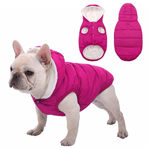 Waterproof Dog Winter Coat, Warm Fleece Lined Dog Jacket with Hood, Windproof Puppy Coat, Pet Apparel Vest Outdoor&Indoor Winter Activities(Pink,S) - color: Pink, size: Small
