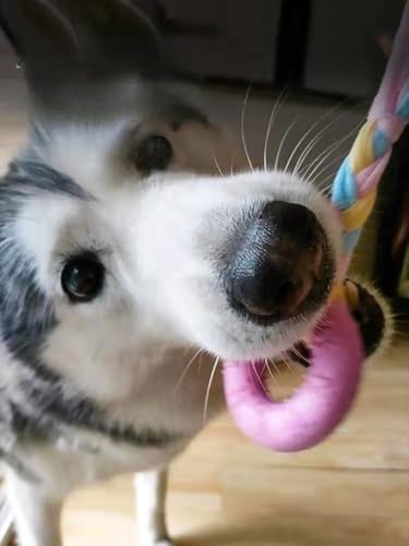Dog Chew Toys, 7pcs Dog Puppies Teething Chewing Toy Set with Ball and Colorful Ropes, Interactive Pet Toys for Small and Medium Dogs (Pink) - color: Pink
