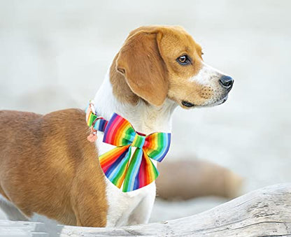 DOGWONG Summer Dog Collar with Bow tie - color: C: lgbt rainbow, size: L