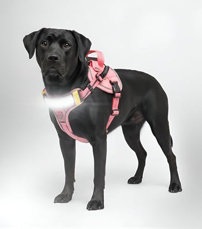 Lumi One LED Dog Harness for Night Visibility and Safety, Patent Pending – Light-Up Dog Vest, Reflective, Adjustable, Rechargeable, Durable, High-Visibility Pet Gear (Pink, Medium) - color: Pink, size: Medium