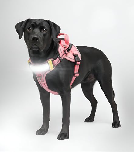 Lumi One LED Dog Harness for Night Visibility and Safety, Patent Pending – High-Visibility Light-Up Dog Vest with 1000 Lumen LED, Rechargeable Battery, Adjustable Fit, Reflective Trim (Pink, Large) - color: Pink, size: Large