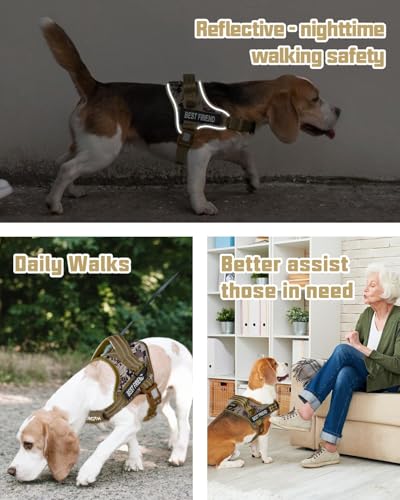 AUROTH Dog Harness and Leash Set, Soft Padded Service Dog Vest with 5.25FT Dog Leash, No Choke, Easy On Pet Vest, Adjustable Reflective No Pull Dog Harness for Large Dogs, Easy Walking and Training - color: Desert Camo, size: Large